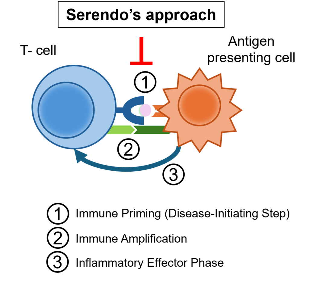Illustration of Serendo's approach